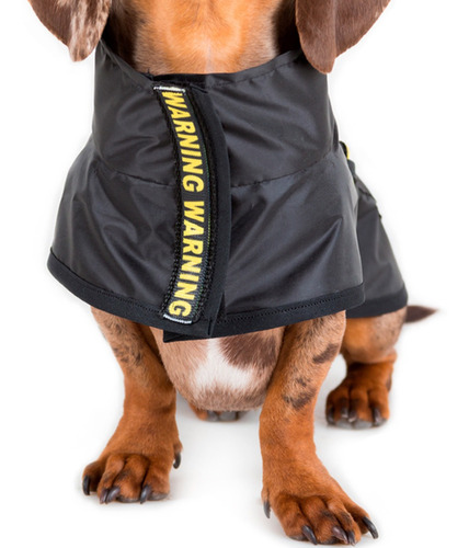 Imagen 5 de 9 de Piloto Tipo Capa Impermeable Perro Lluvia. Talles Grandes