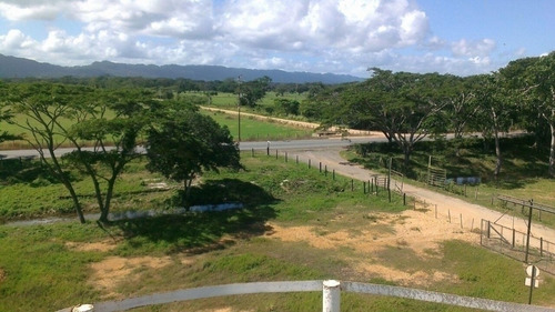 Imagen 1 de 14 de Venta Finca En Falcón Tucacas Oportunidad Cod. 423619