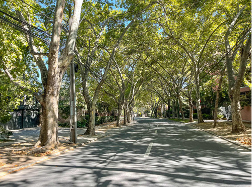 Plaza Turquía - Candelaria Goyenechea