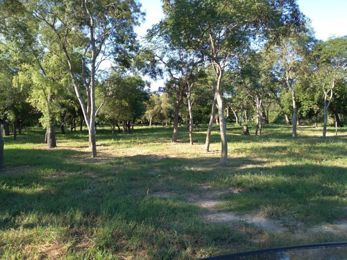 Terrenos Sobre La Costa Del Río, Inversión Ideal Para Disfutar
