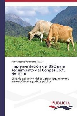 Implementacion Del Bsc Para Seguimiento Del Conpes 3675 D...