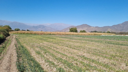 Parcela Plana De 4 Há Con Agua