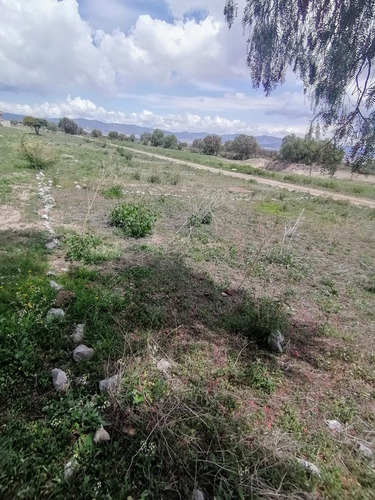 Terrenos En Pachuca Hidalgo 