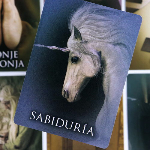 Cartas Oráculo Vidas Pasadas Español Weiss Virtue + Ebook