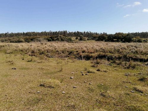 Venta De 30 Hectáreas De Campo En Garzón Maldonado (ref: Ksk-222)