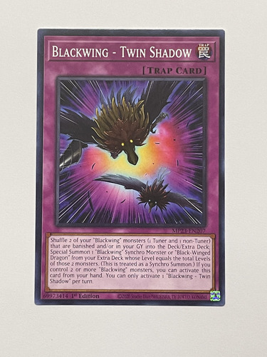 Yugioh Comun Blackwing Twin Shadow