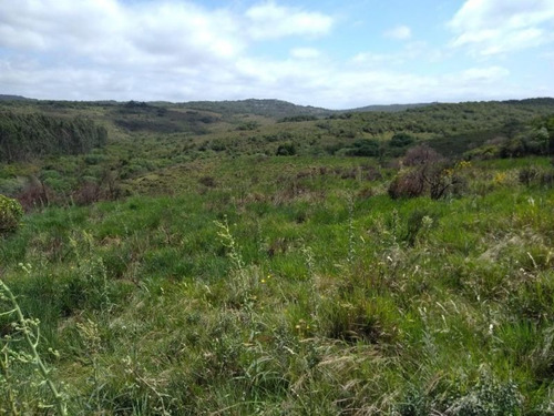 Campo En Venta