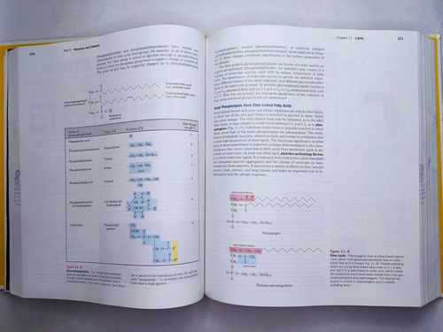 Libro Lehninger Principles Of Biochemistry 195k3 (Usado)