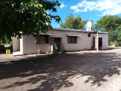 Imagen 17 de 19 de Finca 13 Ha En Cañada Seca - San Rafael