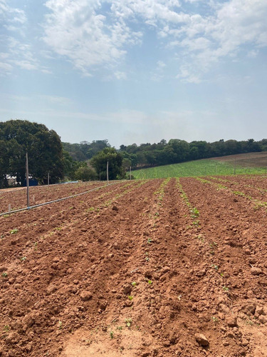 Imagem 19 de 19 de O06- 450m² Em Atibaia