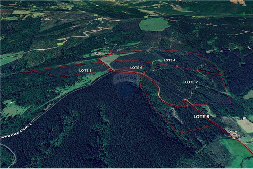 Predio Forestal En Venta 52 Ha. - Mantahue Gorbea