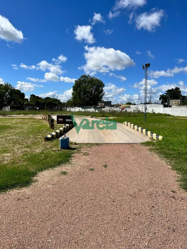 Imagen 21 de 25 de Venta Local Comercial Nuevo Paris, Zona Para Logística!! - Montevideo Nuevo Paris