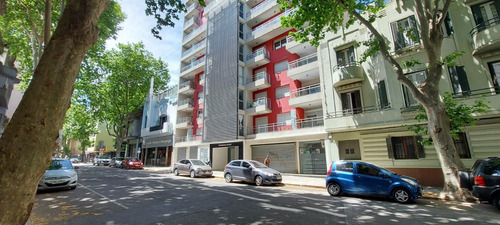 Imagen 1 de 14 de Venta/alquiler Local Comercial Barrio Sur