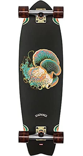 Globe Chromantic Cruiser Bio-morph Talla Única