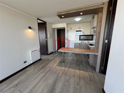 Moderno Depto En Arriendo En Edmundo Eluchans Como Nuevo