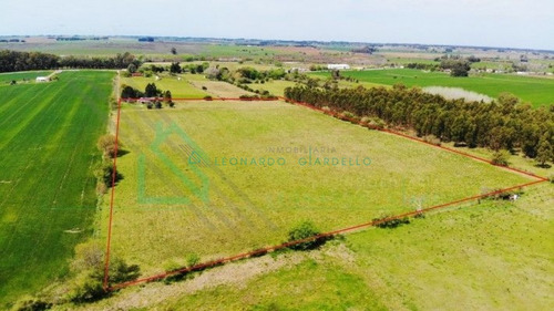 Imagen 6 de 30 de Colonia - Chacra Muy Bien Ubicada- Ref: 1024