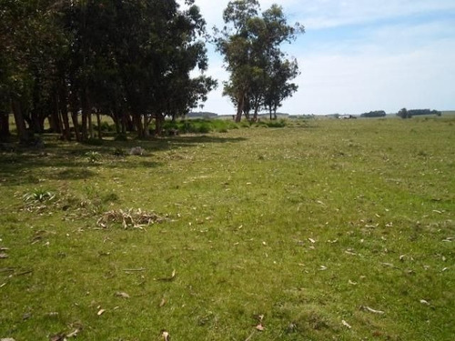 Quinta En Venta En Jose Ignacio