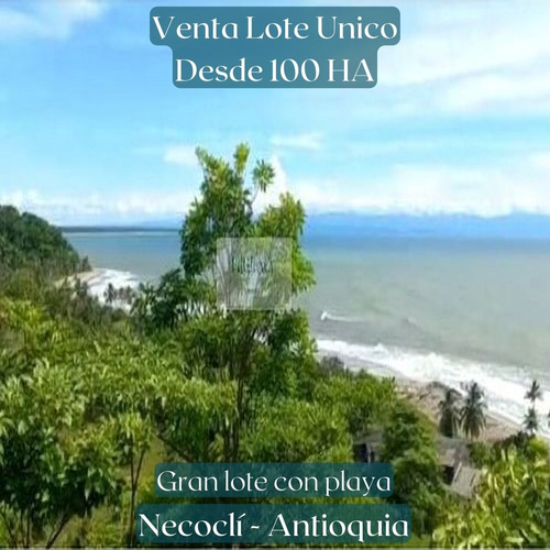 Venta Lote Golfo De Urabá  Hermoso Ecosistema Con Playa En  Necocli