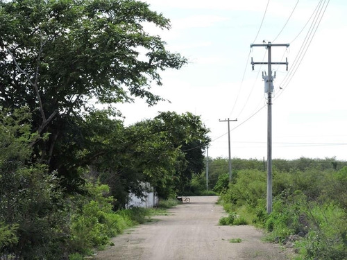 Imagen 10 de 13 de Xamantu Telchac Lotes Campestres Dic 2021