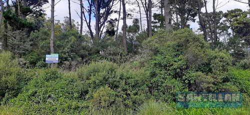 Imagen 5 de 13 de Lote Sierra De Los Padres. Excelente.