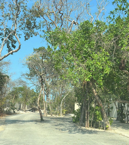 Terreno Residencial En Venta En Villas Tulum