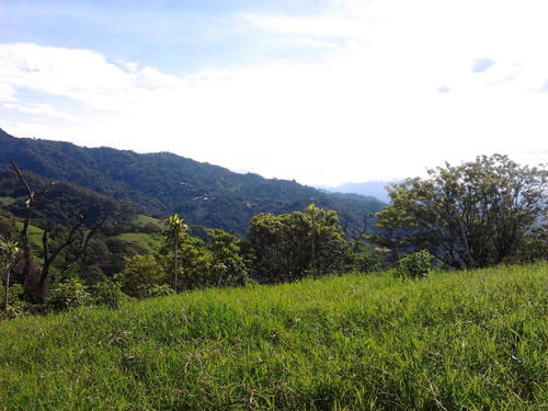 Imagen 2 de 4 de 33.000 M2 En Atenas - Carrizal