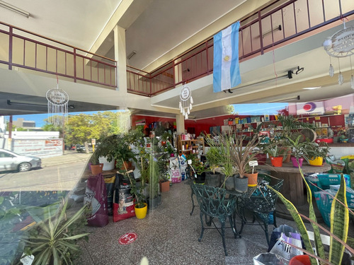 Imagen 4 de 4 de Venta Local Comercial Universitario Con Cochera