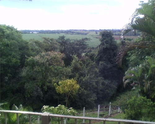Imagem 22 de 30 de Sitio - St00006 - 1880434