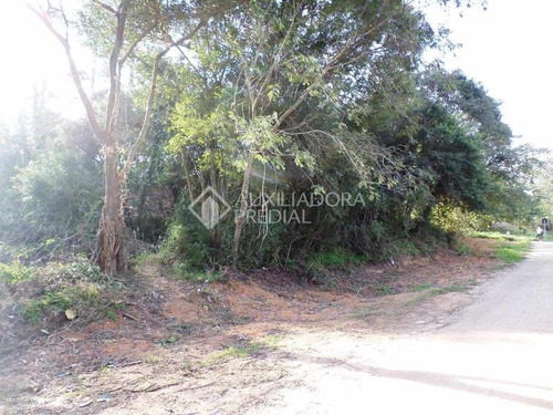 Imagem 8 de 10 de Terreno - Belem Novo - Ref: 225471 - V-225471