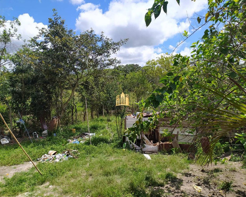 Imagem 8 de 27 de Casa No Bairro Nova Esmeraldas - Esmeraldas - Ca00297 - 69257162