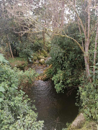 Vendo O Permuto Finca En Fusagasuga Vereda Guchipas