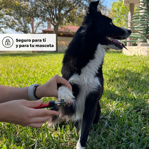 Cortador De Uñas Con Lima Para Perros O Gatos