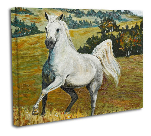 Cuadro Lienzo Canvas 80x120cm Caballo Pintura Galopando Oleo