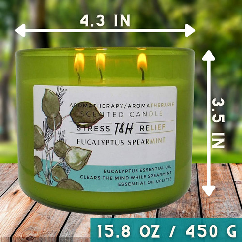 Vela De Aromaterapia De Eucalipto De Menta De 3 Mechas | Vel
