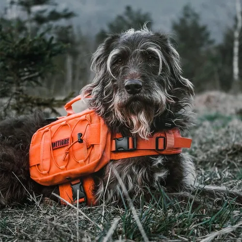 Mochila perro grande new arrivals