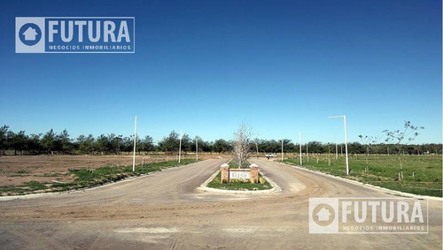 Imagen 3 de 8 de Lotes Manzana H En Venta En Oliveros Con Financiación - Barrio Villa Elena
