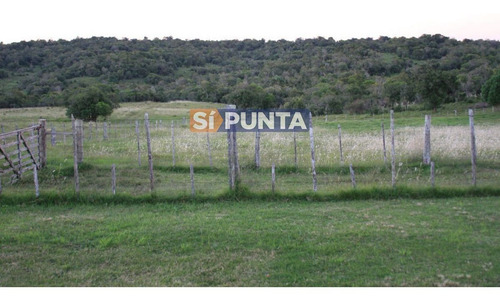 Imagen 20 de 30 de Campo Turistico Cerca De Punta Del Este