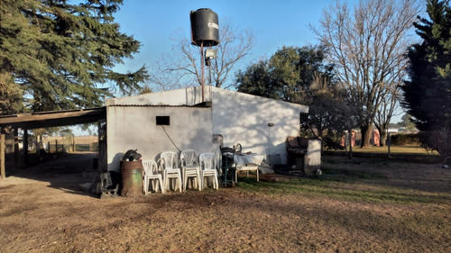 Imagen 9 de 20 de En Venta!!! Casa Quinta Frente A Rn 188, Km 153. (junín - Ba)