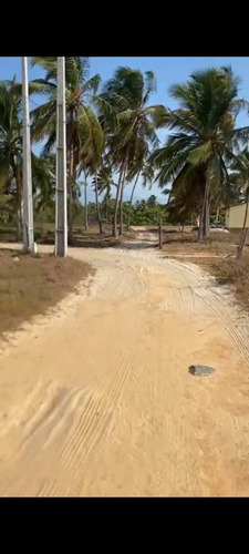 Terreno À Venda Em Icaraízinho De Amontada - Excelente Localização!