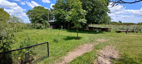 Chacra En Venta, 11 Hectáreas, Aldea San Antonio (gualeguaychú) Casa Con Piscina.