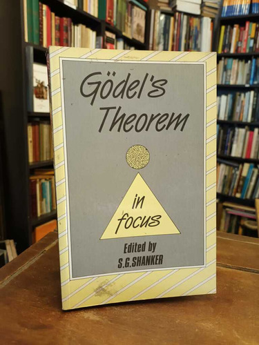 Gödel's Theorem In Focus - S. G. Shanker