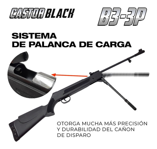 Imagen 2 de 10 de Rifle Aire Comprimido Castor B3-3p 5,5 Mm + Mira 4x20