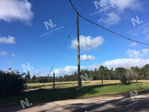 Imagen 3 de 5 de Terreno En Excelente Zona - Vendido - Punta Del Este Rincón Del Indio