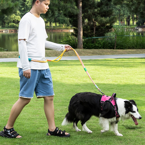 (3 #mold) Training Leash, Colorida Correa Multifunción Para