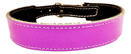 Collar P/perro Bicolor De Cuero C/picos