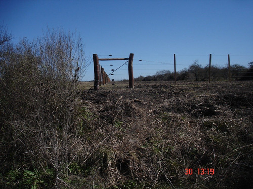 Imagen 6 de 12 de Campo Ganadero 42 Has E.rios Altamirano Sud Ideal Ganadería