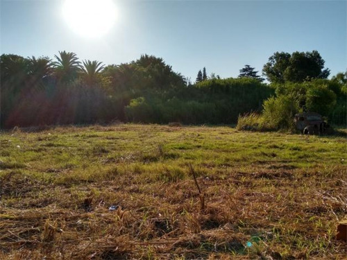 En Venta- Espectacular Lote Con 3 Propiedades