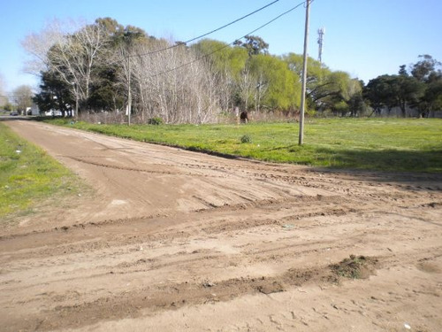 Imagen 6 de 10 de Terreno Santa Teresita