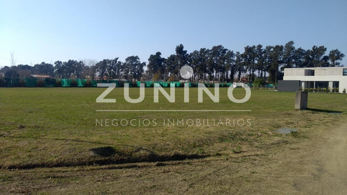 Imagen 9 de 11 de Excelente Lote En Venta En San Ignacio Chico