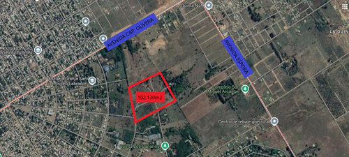 Campo 10 Hectareas En Venta En Guernica. Loteo - Desarrollo - Inversion Inmobiliaria